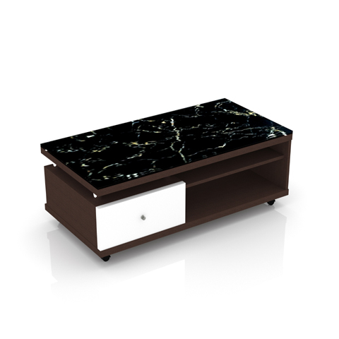 SCT 311 Coffee Table