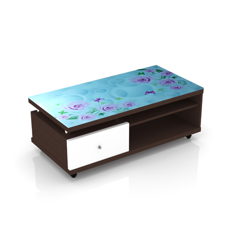 SCT 311 Coffee Table