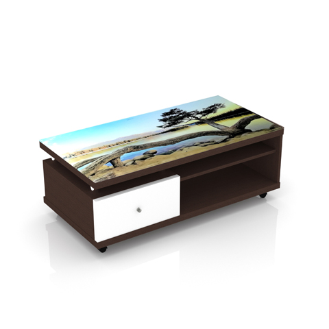 SCT 311 Coffee Table